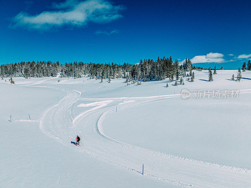 广角航拍越野滑雪者双Poling和经典滑雪在一个清晰，阳光明媚的“蓝鸟”日在科罗拉多的Grand Mesa国家森林经过修整的小道